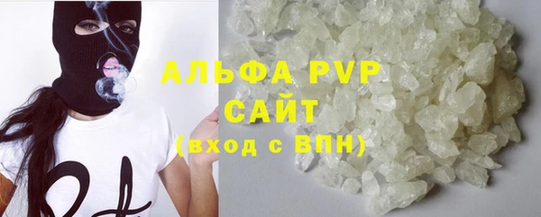 прущие грибы Арсеньев