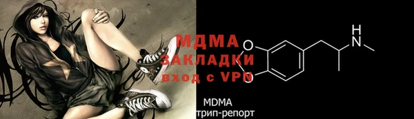 прущие грибы Арсеньев
