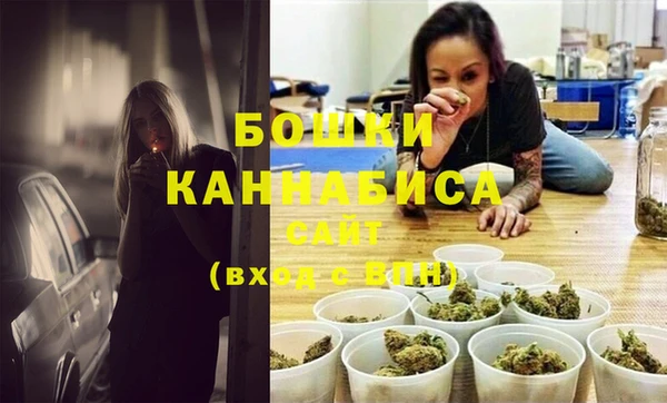 прущие грибы Арсеньев