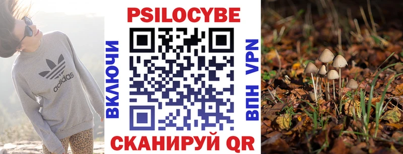 Псилоцибиновые грибы MAGIC MUSHROOMS  даркнет телеграм  Серов 